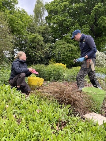 Weekly catch up with gardens & propagation Weekly catch up with gardens & propagation