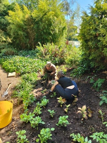Weekly catch up with garden and propagation Weekly catch up with garden and propagation