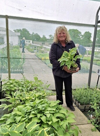 Weekly catch up with gardens & propagation Weekly catch up with gardens & propagation
