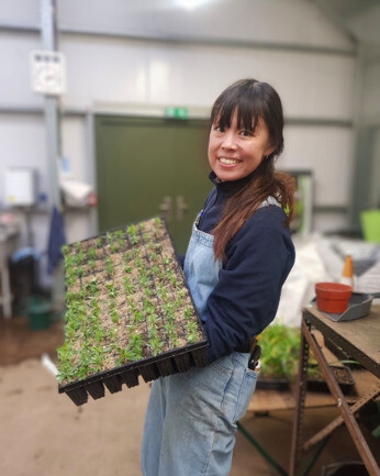 Weekly catch up with gardens & propagation Weekly catch up with gardens & propagation