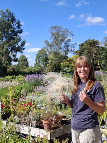 Weekly catch up with garden and propagation Weekly catch up with garden and propagation