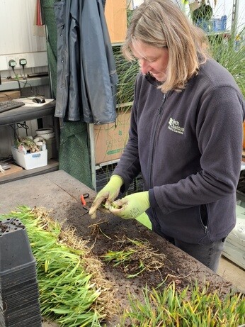 Weekly catch up with garden & propagation Weekly catch up with garden & propagation