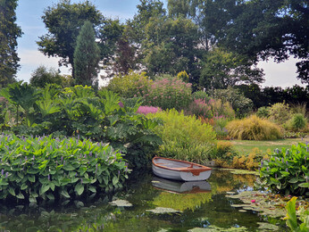 How the garden is coping with the drought 2022 How the garden is coping with the drought 2022