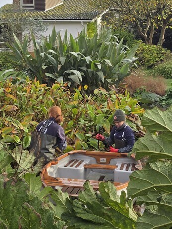 Weekly catch up with garden & propagation Weekly catch up with garden & propagation
