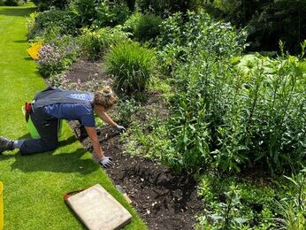 A look back at 2024 with the garden team A look back at 2024 with the garden team