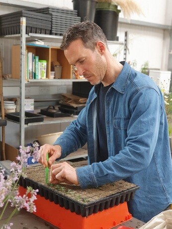 Weekly catch up with garden & propagation Weekly catch up with garden & propagation