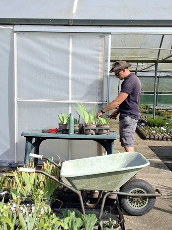 Weekly catch up with garden & propagation Weekly catch up with garden & propagation