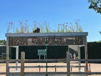 Our Green Roof Bike Shelter Our Green Roof Bike Shelter