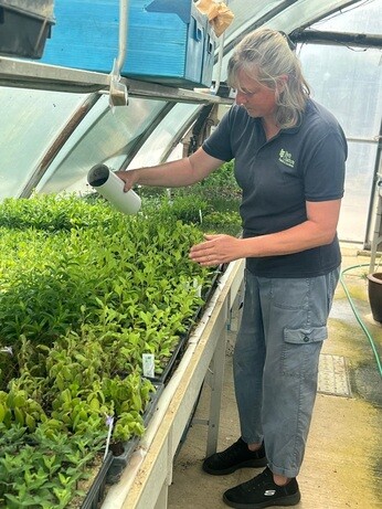 Weekly catch up with garden and propagation Weekly catch up with garden and propagation