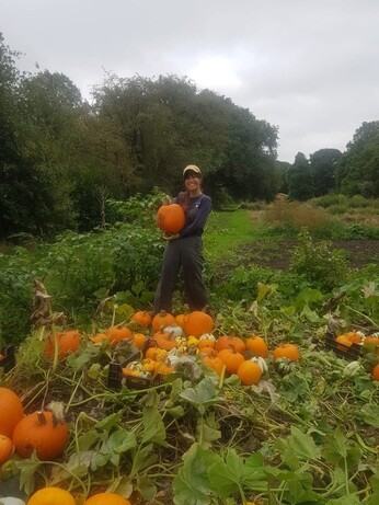 Weekly catch up with garden & propagation Weekly catch up with garden & propagation