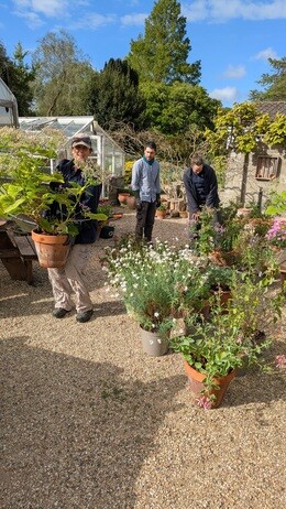 Weekly catch up with garden & propagation Weekly catch up with garden & propagation