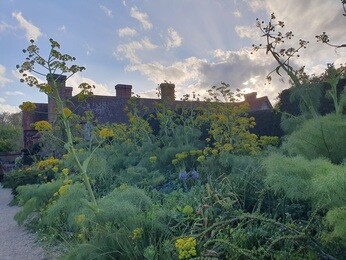 A glorious weekend at Great Dixter's Spring Plant Fair A glorious weekend at Great Dixter's Spring Plant Fair