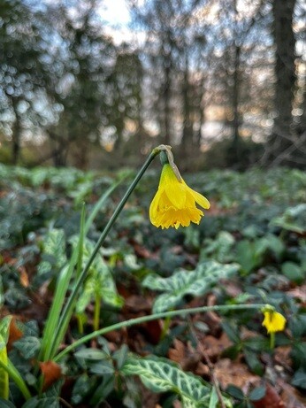Weekly catch up with garden & propagation Weekly catch up with garden & propagation