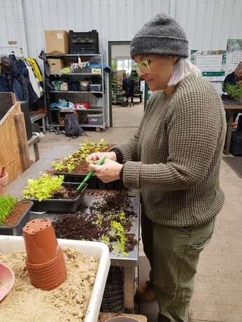 Weekly catch up with garden and propagation Weekly catch up with garden and propagation