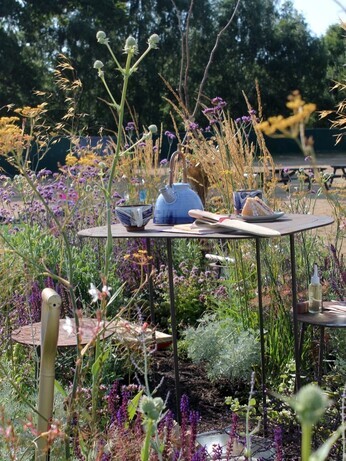 Weekly catchup with garden and propagation Weekly catchup with garden and propagation