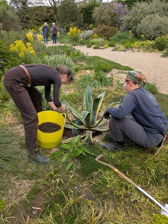 Weekly catch up with gardens & propagation Weekly catch up with gardens & propagation