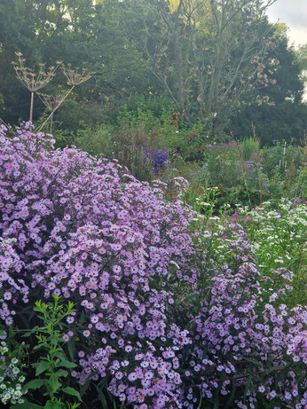 What's still in flower in October? What's still in flower in October?