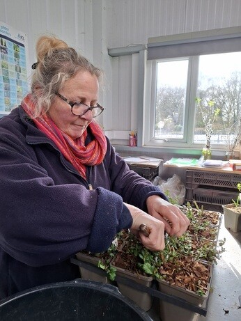 Weekly catch up with gardens & propagation Weekly catch up with gardens & propagation