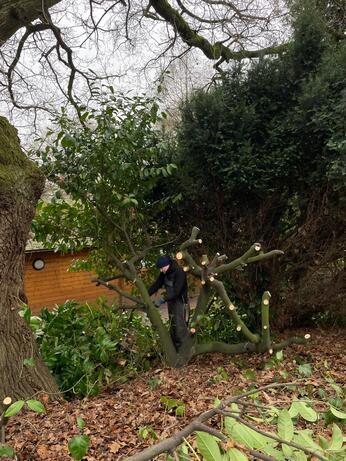 January news from the garden and propagation January news from the garden and propagation