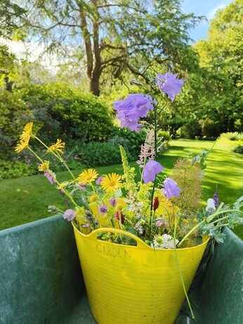Weekly catch up with garden and propagation Weekly catch up with garden and propagation