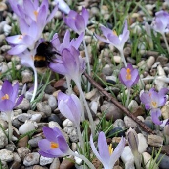 Wild Words from the Ground – February & March Wild Words from the Ground – February & March
