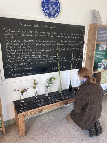 Weekly catch up with gardens & propagation Weekly catch up with gardens & propagation
