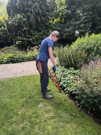 Weekly catch up with garden & propagation Weekly catch up with garden & propagation