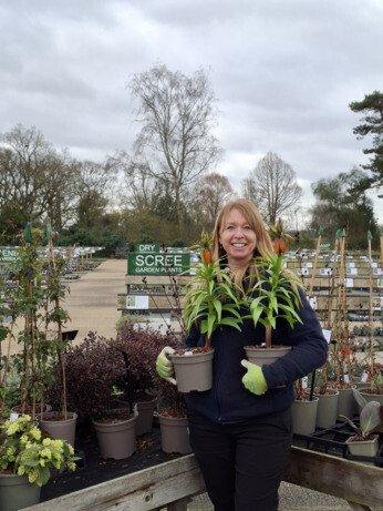Weekly catch up with garden & propagation Weekly catch up with garden & propagation