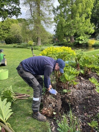 Weekly catch up with gardens & propagation Weekly catch up with gardens & propagation