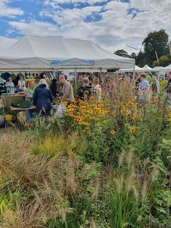 Weekly catch up with garden and propagation Weekly catch up with garden and propagation
