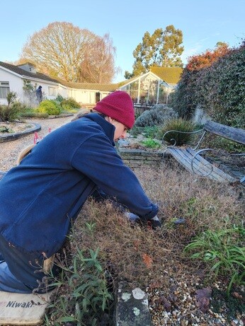Weekly catch up with garden & propagation Weekly catch up with garden & propagation