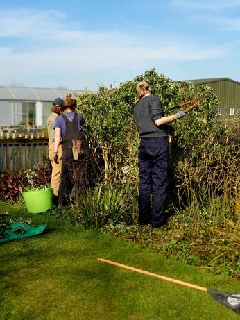 Weekly catch up with gardens & propagation Weekly catch up with gardens & propagation
