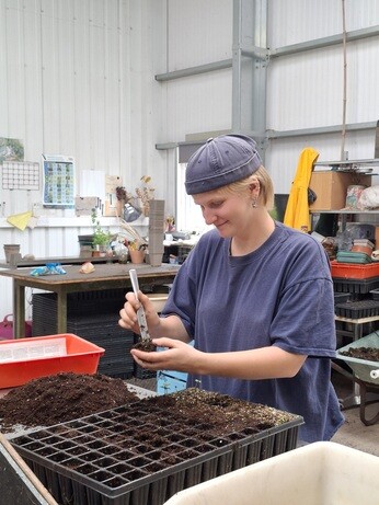 Weekly catch up with garden and propagation Weekly catch up with garden and propagation