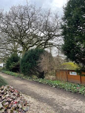 January news from the garden and propagation January news from the garden and propagation