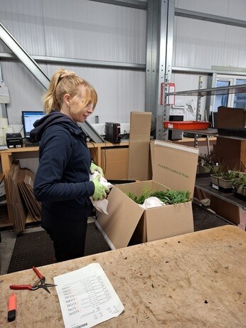 January news from the garden and propagation January news from the garden and propagation