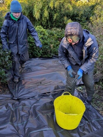 Weekly catch up with garden & propagation Weekly catch up with garden & propagation