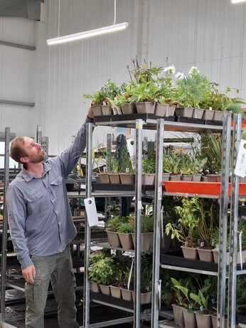 Weekly catch up with garden and propagation Weekly catch up with garden and propagation