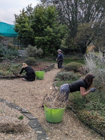 Weekly catch up with garden and propagation Weekly catch up with garden and propagation