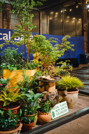 RHS Urban Show 2024 RHS Urban Show 2024