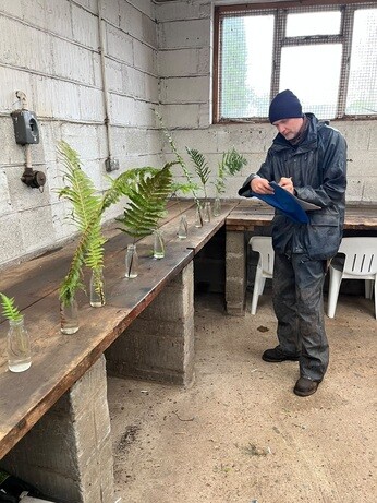 Weekly catch up with garden and propagation Weekly catch up with garden and propagation
