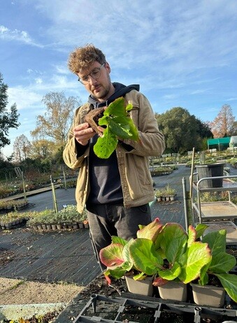 Weekly catch up with garden & propagation Weekly catch up with garden & propagation