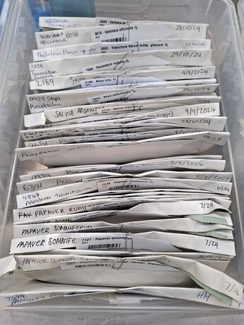 Seed sowing in winter Seed sowing in winter