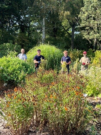 Weekly catch up with garden and propagation Weekly catch up with garden and propagation