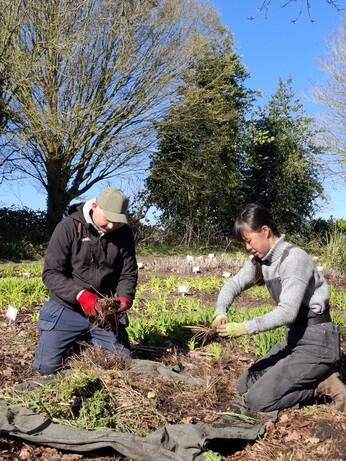 Weekly catch up with gardens & propagation Weekly catch up with gardens & propagation