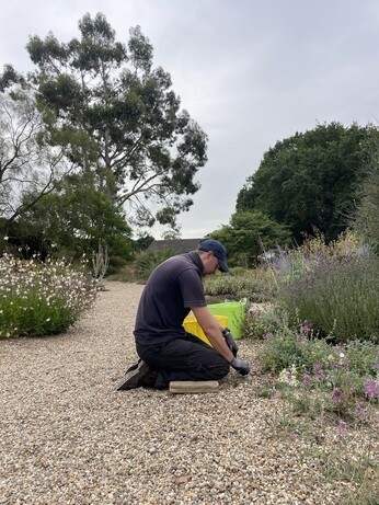 Weekly catch up with garden & propagation Weekly catch up with garden & propagation