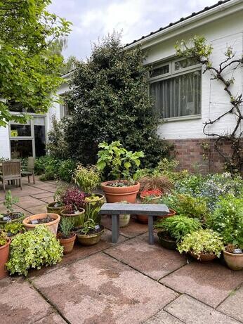 Summer pot displays Summer pot displays
