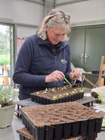 Weekly catch up with garden & propagation Weekly catch up with garden & propagation