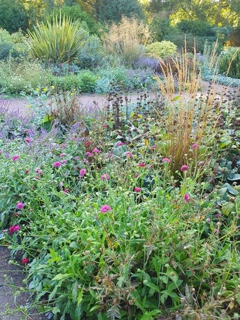 Weekly catch up with garden & propagation Weekly catch up with garden & propagation