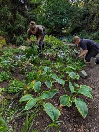 Weekly catch up with garden and propagation Weekly catch up with garden and propagation