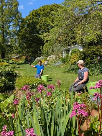 Weekly catch up with garden & propagation Weekly catch up with garden & propagation